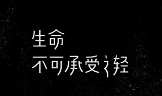 生命不可承受之轻是什么意思（生命不可承受之轻是指什么）