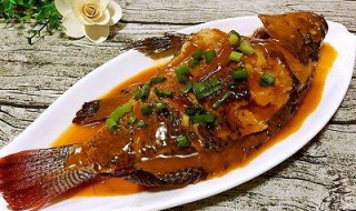 罗非鱼的做法大全 罗非鱼的做法大全图片