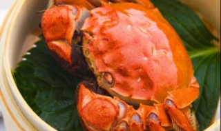 螃蟹不能和什么食物一起吃（螃蟹不能和什么食物一起吃 这些禁忌你得知）