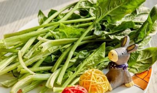 菠菜不能和什么一起吃 菠菜不能和什么一起吃香哈