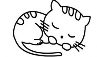 小猫简笔画（小猫简笔画彩色可爱）