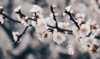 立春是什么意思（节气立春是什么意思）