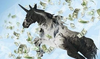 独角兽企业什么意思（杭州准独角兽企业什么意思）