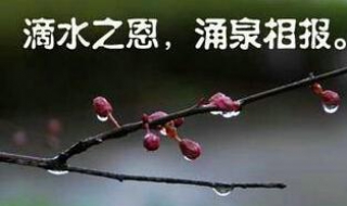 滴水之恩当涌泉相报的意思 滴水之恩当涌泉相报的意思视频