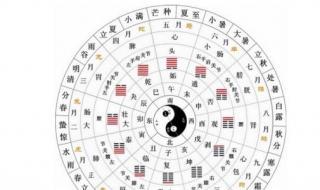海中金命是什么意思 海中金命是什么意思女