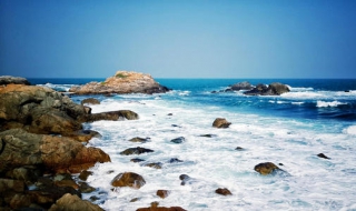 沧海一粟是什么意思 沧海一粟是什么意思解释