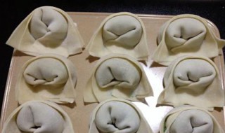 金元宝馄饨包法（金元宝馄饨包法图解）