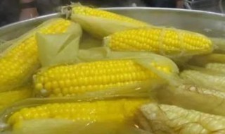 煮玉米怎么煮 煮玉米怎么煮更软糯香甜