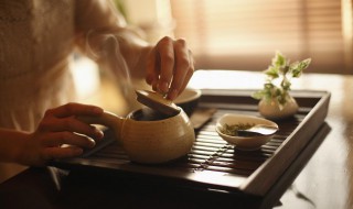 茶具的使用方法 玻璃茶具的使用方法
