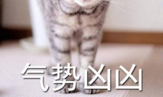 气势汹汹的意思 气势汹汹的意思三年级