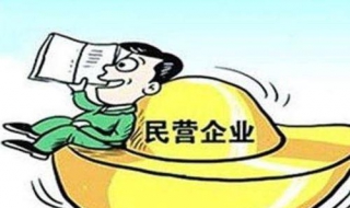 民营企业是什么意思 公办民营企业是什么意思