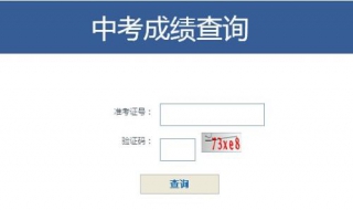 中考成绩查询（中考成绩查询时间）