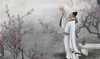 枉费心机的意思（枉费心机意思相近的成语）