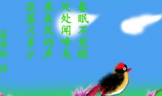 春眠不觉晓的意思（春眠不觉晓的意思是）