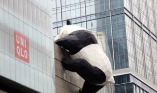爬墙是什么意思（抖音爬墙是什么意思）
