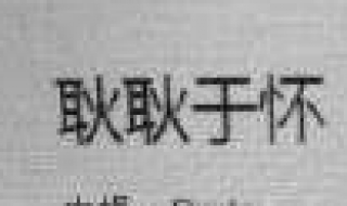 耿耿于怀是什么意思（耿耿于怀是什么意思啊耿）