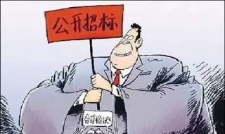 公开招标流程（公开招标流程图及时间节点）