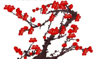 梅花三弄什么意思（梅花三弄什么意思服务）