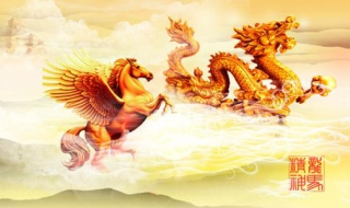 龙马精神是什么意思（龙马精神是什么意思啊）