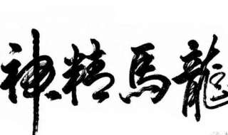 龙马精神的意思（龙马精神的意思是什么）