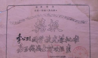 参战部队名录（七九年自卫反击战参战部队名录）