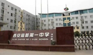 西安中学排名前十的有哪些（西安中学排名前十的有哪些学校名单）