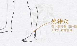 悬钟穴的位置及作用