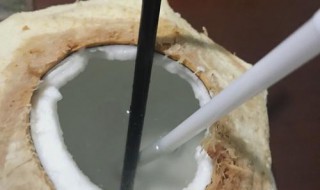 椰子开法（椰子开法技巧）