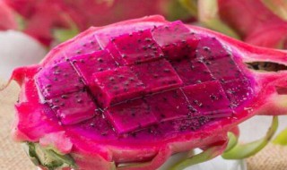 睡前吃火龙果的功效有哪些