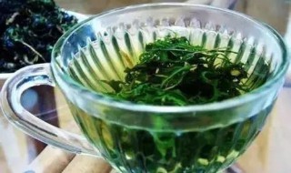 蒲公英茶的做法步骤是什么 蒲公英茶这样做