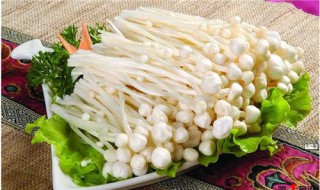 金针菇相克食物（金针菇相克食物大全表）