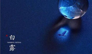 2019年白露几月几日（2020白露是几月几日星期几）
