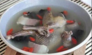 鸽子汤怎么炖好吃（甜的鸽子汤怎么炖好吃）