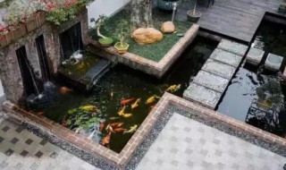 小型鱼池的建造方法（小型鱼池的建造方法?）