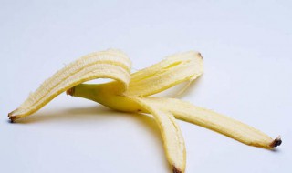 香蕉皮适合什么花（香蕉皮适合什么花肥料）