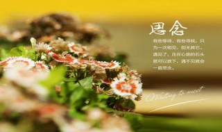 表达思念的句子（表达思念的句子简短）