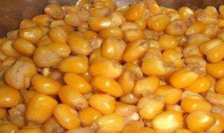 玉米饵料配方 玉米饵料配方 野钓