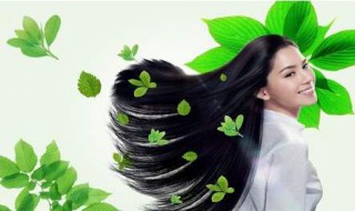 植物养发是真的吗 海娜植物养发是真的吗