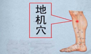 地机穴的位置 阳陵泉最笨找法
