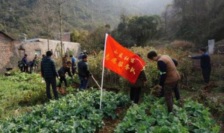 苟小孟资产有多少 苟小孟汉中