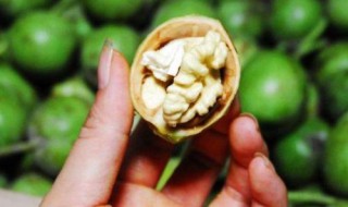 青核桃泡酒治什么病 核桃泡酒治什么病,青核桃泡酒治什么病