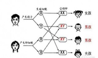 父亲有狐臭遗传规律 父亲有狐臭遗传规律是什么?如何避免遗传?