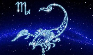 综合实力最强的星座有哪些（综合实力最高的星座）