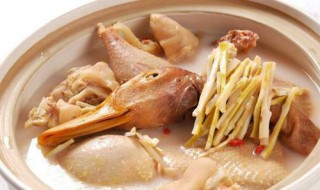 新鲜鸭子怎么炖好吃 新鲜鸭子怎么炖才好吃