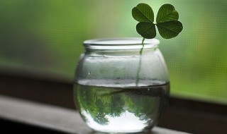 人转运前的6大征兆 一个人开始转运的最大征兆