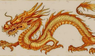 2019年属龙的全年运势（2019年属龙的全年运势及运程）