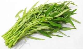 吃空心菜的坏处（吃空心菜好不好）