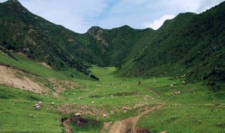 湟中有哪些景点 湟中有哪些景点可以玩