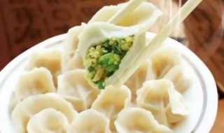 韭菜鸡蛋饺子的做法（韭菜鸡蛋饺子的做法视频）