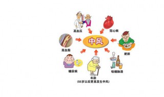 一生不中风的方法 怎样不中风